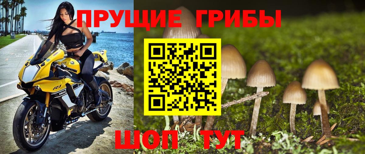 Екатеринбург  Псилоцибиновые грибы MAGIC MUSHROOMS  Галлюциногенные грибы ЛСД  Вход с VPN 