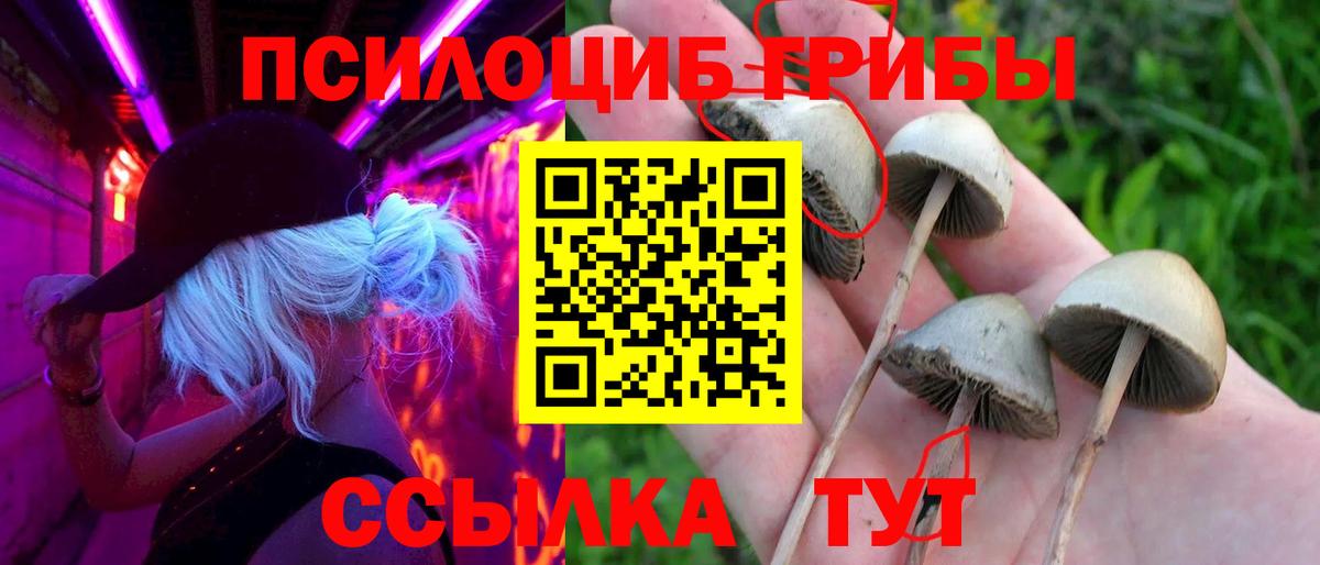 Псилоцибиновые грибы GOLDEN TEACHER Екатеринбург
